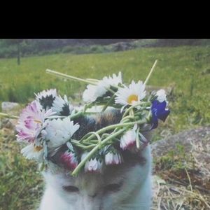 Meet your Posher, Simona